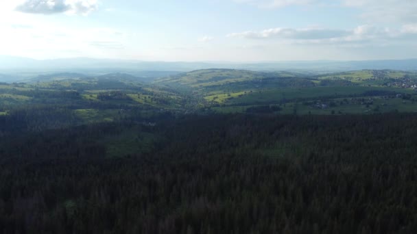 Polonya Tatry Dağları Nın Düzlükleri Polonya Slovakya Arasında Ortak Ulusal — Stok video