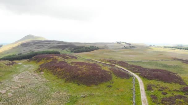 穿过苏格兰隆蒙山崎岖高地的小路无人驾驶飞机 — 图库视频影像