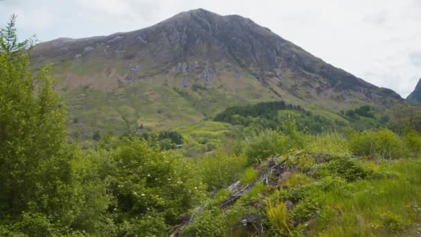 Lush Vegetation Mountain Glencoe Valley Scotland — Stock Video