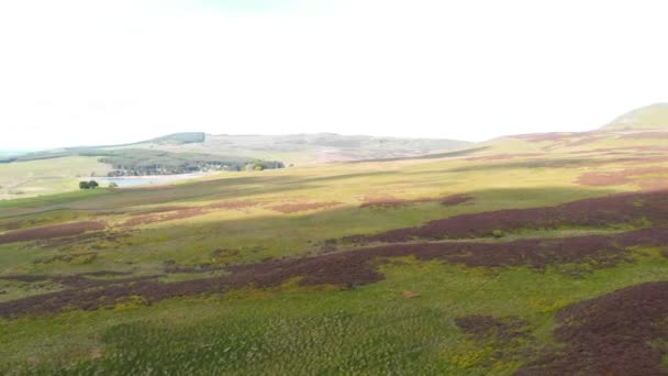 Highland Hedar Och Ängar Lomond Regionalpark Skottland Drönare — Stockvideo