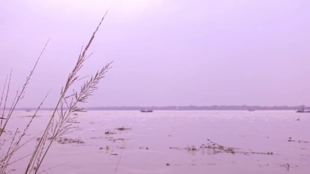 Gange Scorre Sul Bengala — Video Stock