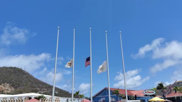 Flagge Der Usa Jungferninsel Und Usa Halbmast Weht Ehren Der — Stockvideo