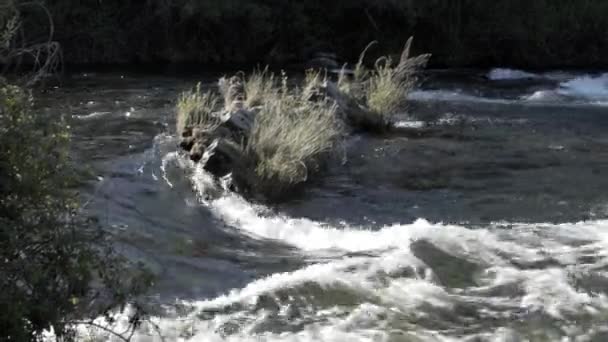 Agua Corriente Salpicando Sobre Las Rocas Corriendo Rápidamente Través Zona — Vídeo de stock