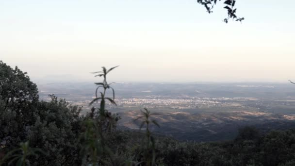 Pradera Verde Rodeada Árboles Con Muchas Colinas Cerca Con Vistas — Vídeo de stock