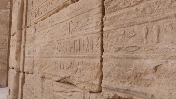 Över Muren Hieroglyfer Och Symboler Karnak Templet Forntida Civilisation — Stockvideo