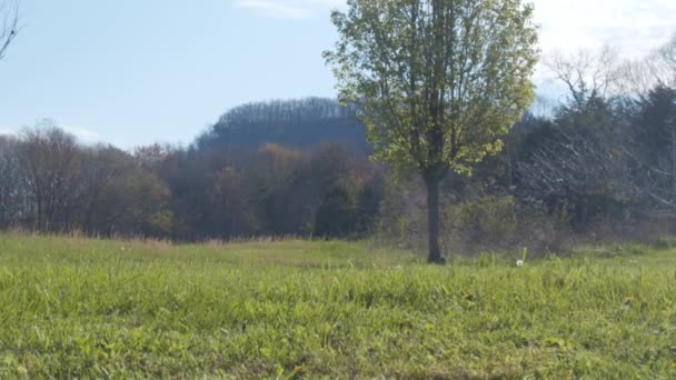 White Person Lawn Tractor Mowing Lawn Rural America Low Angle — Stock Video