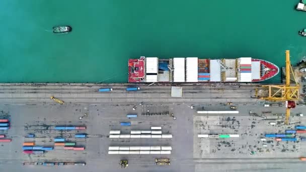 Terminal Contêineres Transporte Durante Dia Puerto Limon Caribe Costa Rica — Vídeo de Stock
