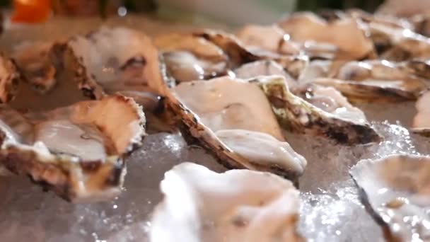 新的生牡蛎 半壳在冰上展示 — 图库视频影像