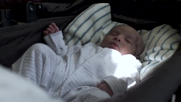 Calm Asian Newborn Sleeping Infant Car Bed — Stock Video