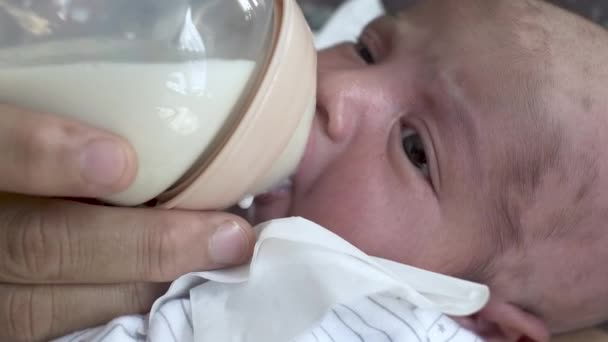 Alimentando Bebê Recém Nascido Com Leite Materno Uma Mamadeira Perto — Vídeo de Stock