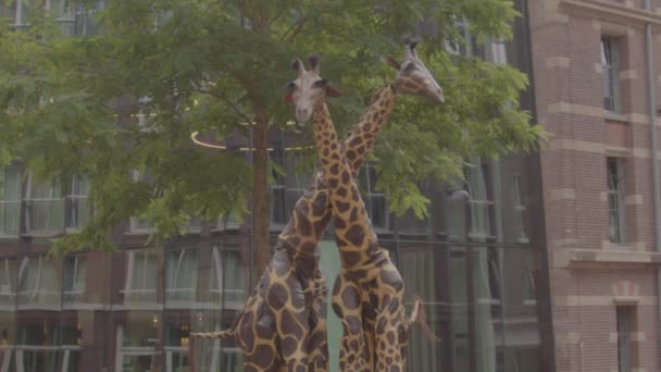 Due Artisti Strada Vestiti Giraffe Una Piazza Pubblica — Video Stock
