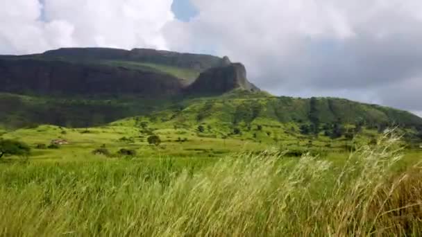 在印度纳希克的特里姆巴克什瓦附近 有着摇曳的草地和山脉的风景区自然 广角射击 — 图库视频影像