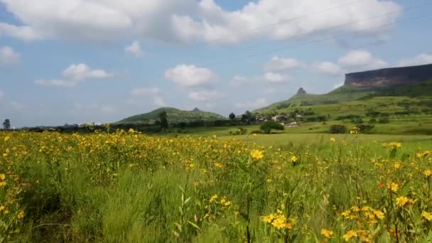 美しい春の花インドのナシークにあるTrimbakeshwar山脈の近くの晴れた日に 広角撮影 — ストック動画