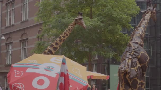 Streetperformer Przebrany Żyrafę — Wideo stockowe