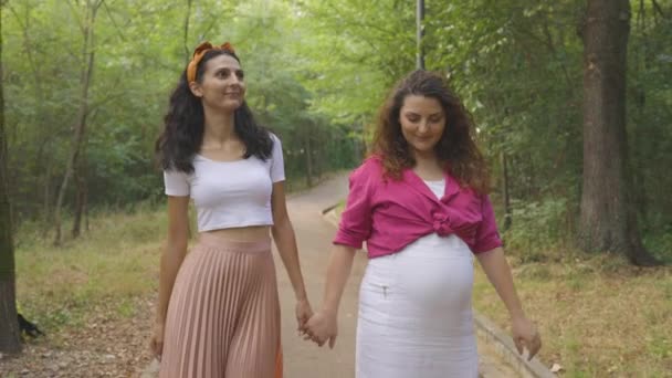 怀孕的男女同性恋 双性恋 变性者和两性人在公园里散步和旋转 热爱Lgbtq养育子女 — 图库视频影像
