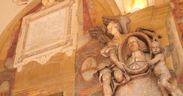 Schöne Detailansicht Des Innenhofs Der Historischen Und Berühmten Archiginnasio Statue — Stockvideo