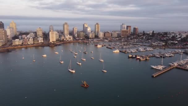 Flygfoto Över Hamnen Med Förankrade Segelbåtar Framför Punta Del Este — Stockvideo