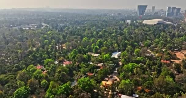 Ciudad México Aerial V97 Drone Low Level Flyover Mexican Wildlife — Vídeos de Stock