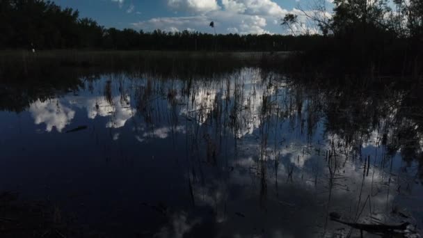 Brede Foto Van Wolken Gespiegeld Het Wateroppervlak Van Wetlands Met — Stockvideo