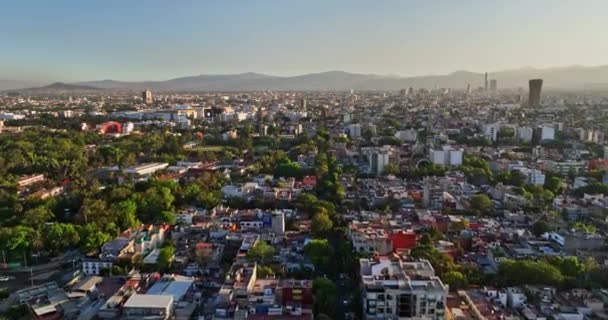 Mexico City Havacılık Gün Batımında Ağaçlar Boyunca Ağaçlar Boyunca Uçarak — Stok video