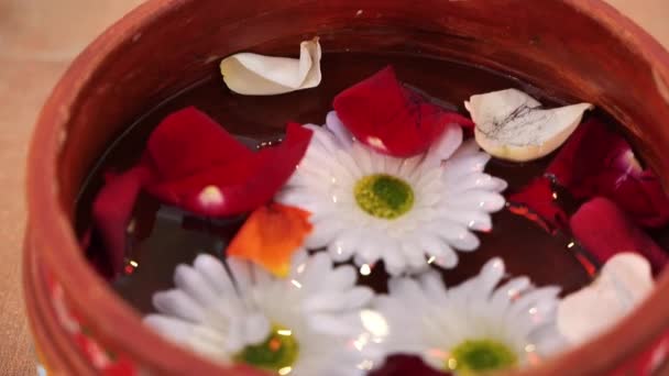 Bowl Water Flowers Petals White Red — Stock Video