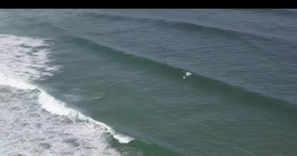 完璧な海の波ドローンの空中ショットをサーフィン男サーファー 左前の素晴らしいスナップ — ストック動画