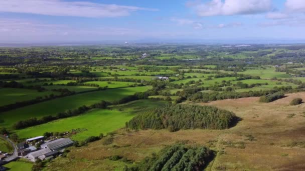 Drone View Sunny Φθινοπωρινή Βραδιά Αγγλική Χώρα Σκηνή Δάση Στο — Αρχείο Βίντεο