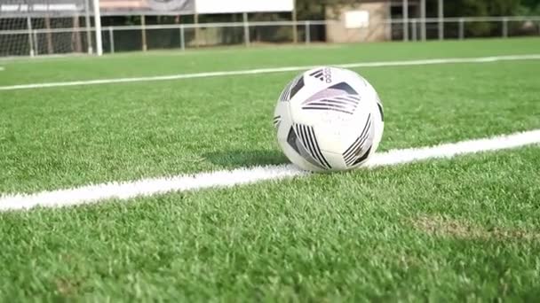 Fútbol Línea Blanca Listo Para Ser Pateado — Vídeo de stock