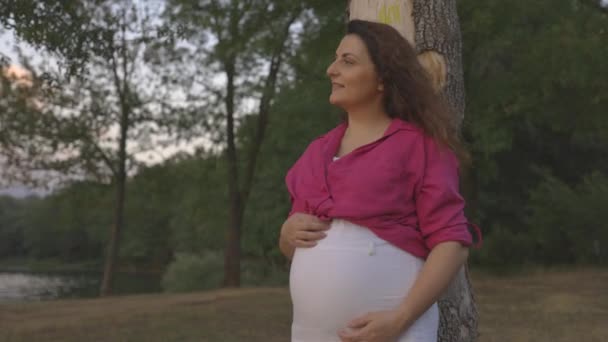 Expectant Mom Leaning Tree Admiring Sunset Lake Rubbing Pregnant Belly — Stock Video