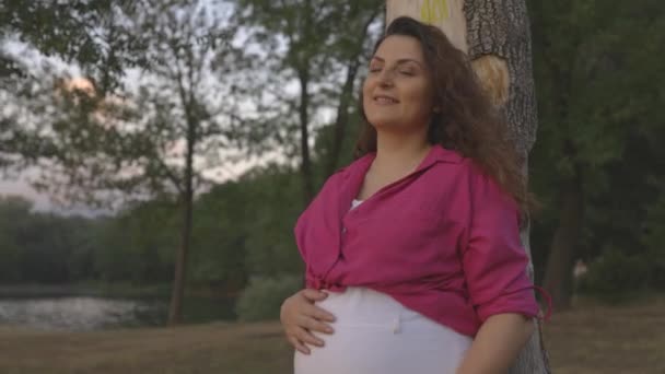 人々が湖の夕日に向かって歩くように木に対して休んでいる妊婦を微笑む — ストック動画