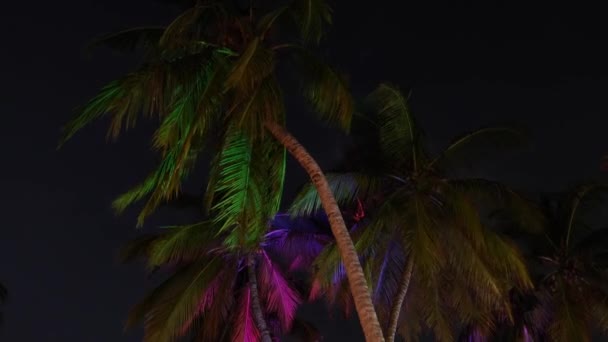 Night Party Outdoor Wedding Luxury Decorations Beach View People Palm — стокове відео