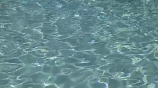 Basen Pływacki Przejrzyste Tło Wody Odbiciem Słońca — Wideo stockowe