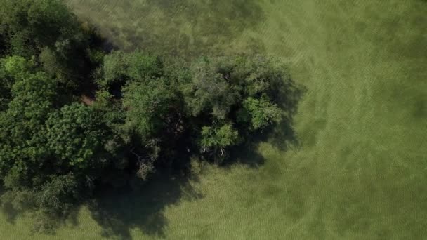 Von Oben Nach Unten Luftaufnahme Der Insel Holländischen Ausgrabungssee Mit — Stockvideo