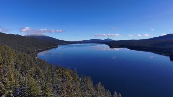 Amplio Tiro Dron Sobre Árboles Nevados Lago Claro Soleado Día — Vídeos de Stock