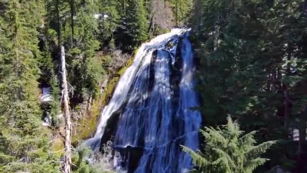 Waterfall Reveal Push Trees Sunny Spring Snow — Stock Video