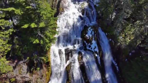 Voar Através Árvores Acima Cachoeira Floresta Dia Ensolarado Primavera Neve — Vídeo de Stock