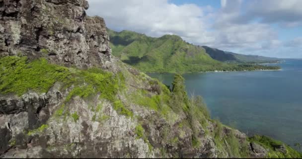 Vue Aérienne Randonnée Lion Accroupi Surplombant Vallée Baie Kahana Hawaï — Video
