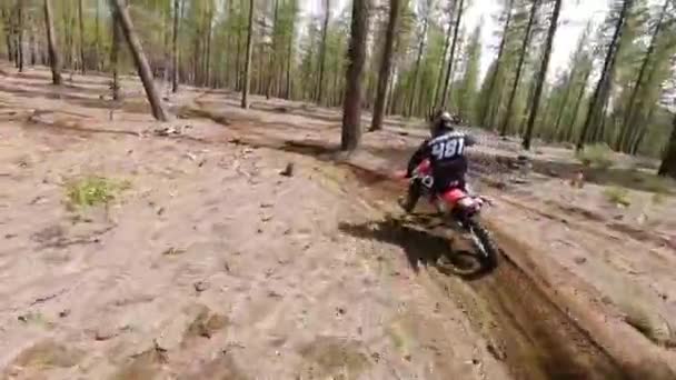 Corrida Drone Fechar Seguindo Motociclista Masculino Através Árvores 60Fps — Vídeo de Stock