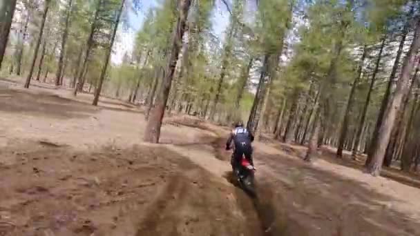 Race Drón Követi Férfi Dirt Bike Motoros Keresztül Erdők Fák — Stock videók