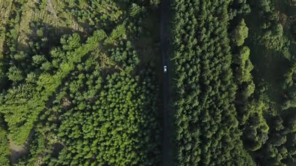 Top View White Car Riding Curvy Road Green Forest Wicklow — Stock Video