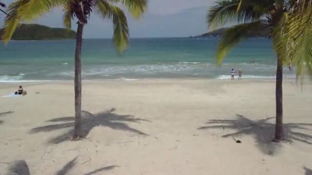 Palm Trees Tropical Beach Beautiful Water — Stock Video