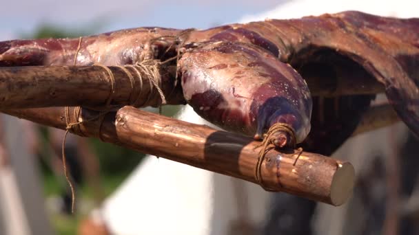 Mięso Szkicowane Drewnianym Patyku Gotowane Wysokiej Temperaturze Prymitywna Metoda Gotowania — Wideo stockowe