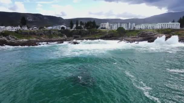 Delfine Schwimmen Der Küste Vor Dem Windsor Hotel Hermanus Antenne — Stockvideo