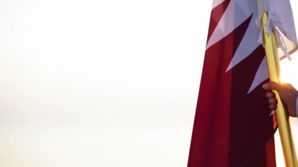 Caballero Con Bandera Qatar Caballo Cerca Del Mar Desierto Qatar — Vídeo de stock