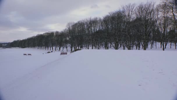 Park Frogner Oslo Norwegia Rozległy Krajobraz Pieszymi Drzewami — Wideo stockowe