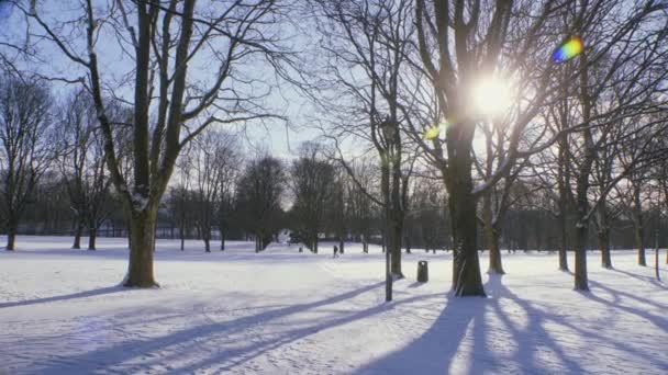 Frogner Park Oslóban Norvégia Nap Jön Fák Széles Lövés Gyalogosok — Stock videók