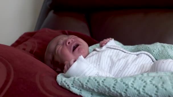 New Born Baby Boy Crying Fidgeting Laying Pillow Sofa Dolly — Stock Video