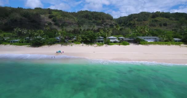 ハワイのオアフ島の北海岸で夏の間に遊んで楽しんでいる白い砂浜の美しい家族 横方向に — ストック動画