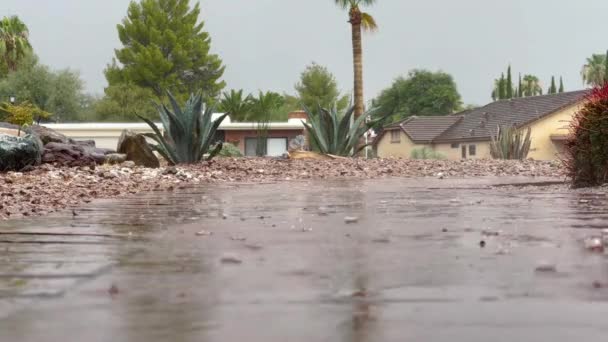 Tempesta Pioggia Città Primo Piano Del Marciapiede — Video Stock