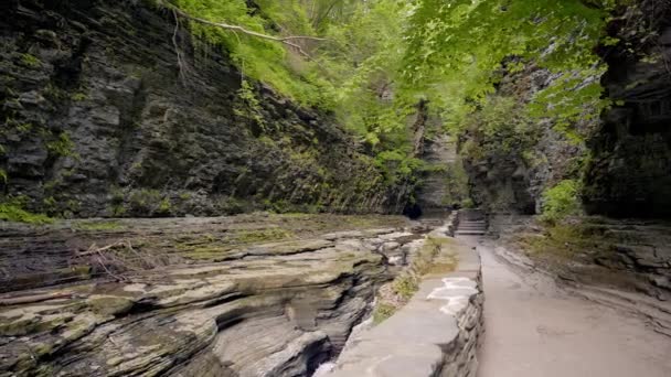 Mempesona Jurang Berbatu Dan Tanaman Subur Dari Watkins Glen State — Stok Video